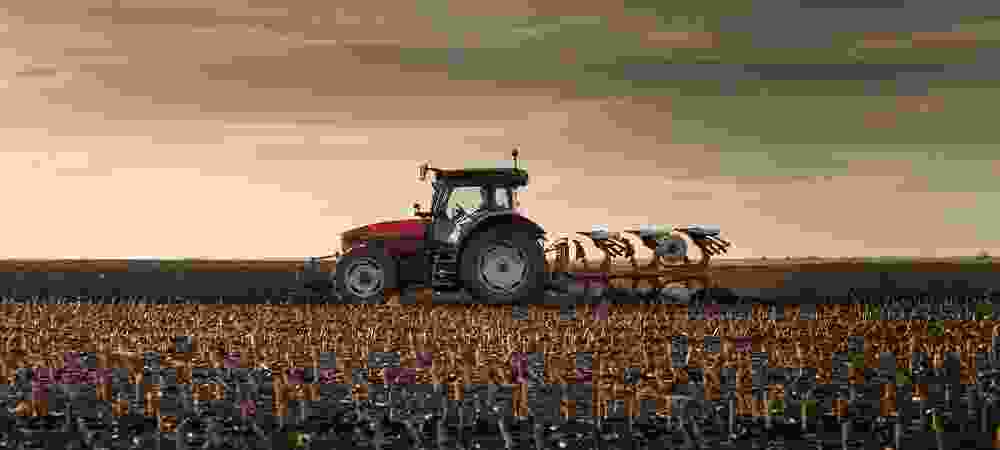 Animal Farm