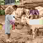 iconbg4